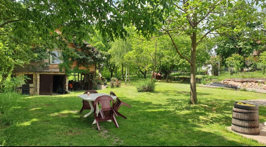 Log Cabin Belgrad Exteriör bild