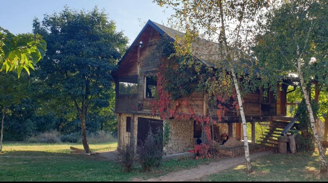 Log Cabin Belgrad Exteriör bild