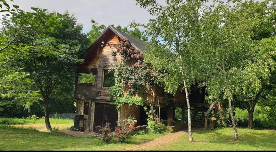 Log Cabin Belgrad Exteriör bild