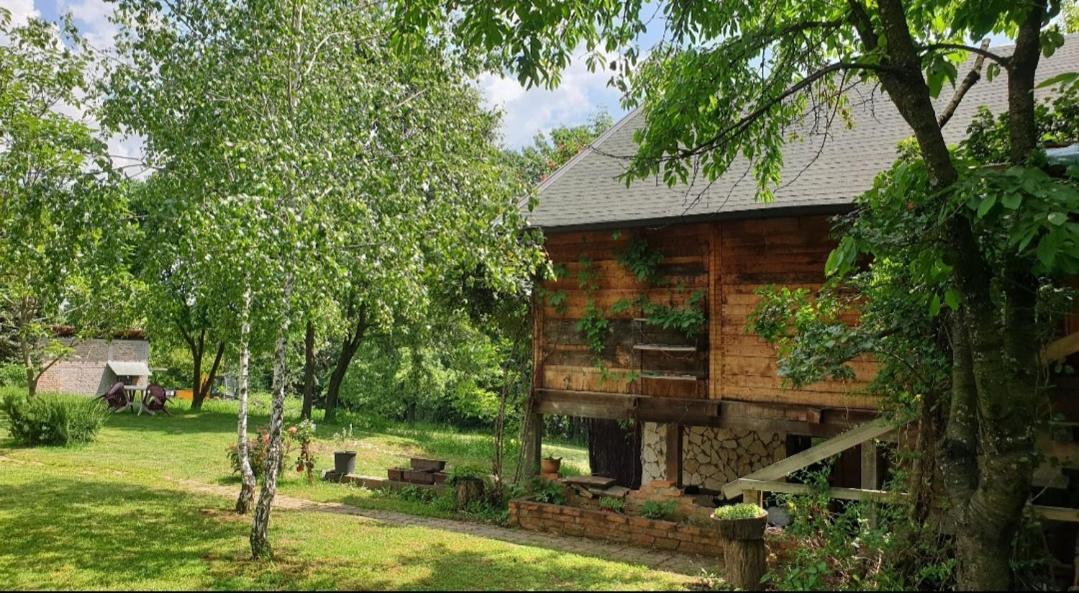 Log Cabin Belgrad Exteriör bild
