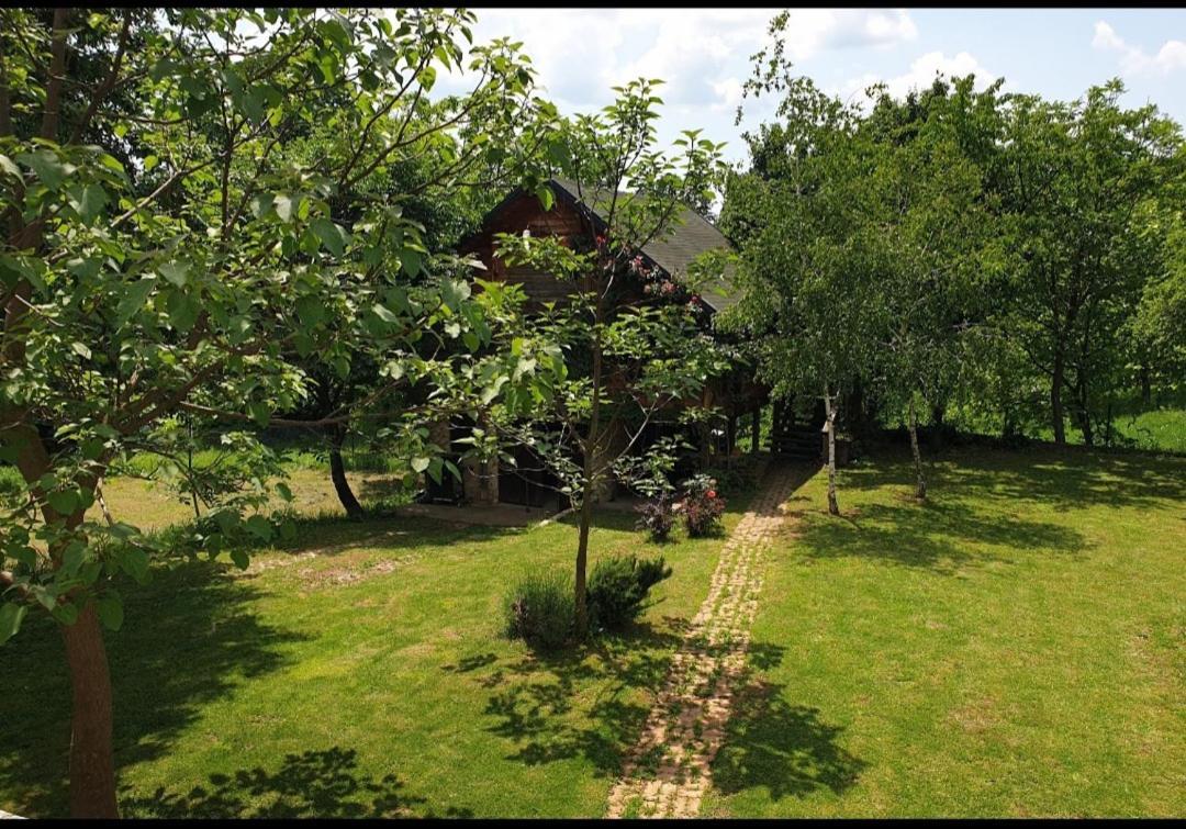 Log Cabin Belgrad Exteriör bild