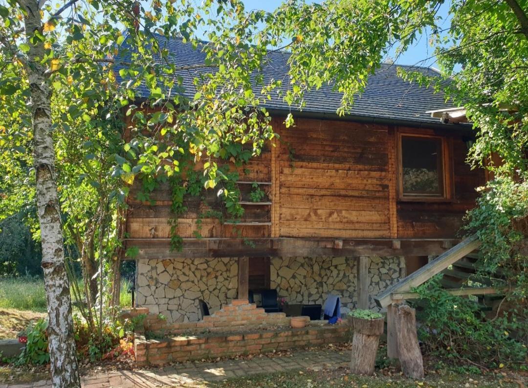 Log Cabin Belgrad Exteriör bild