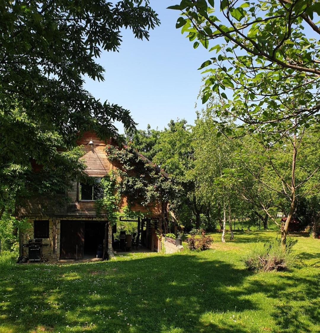 Log Cabin Belgrad Exteriör bild